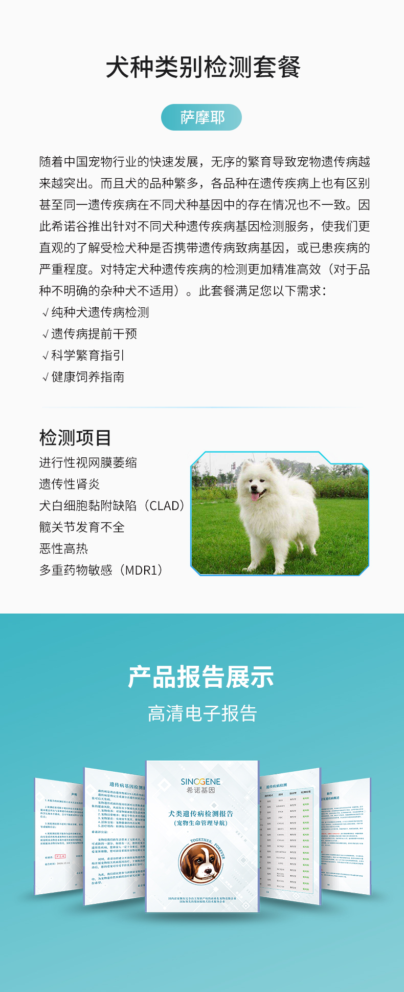 萨摩.jpg
