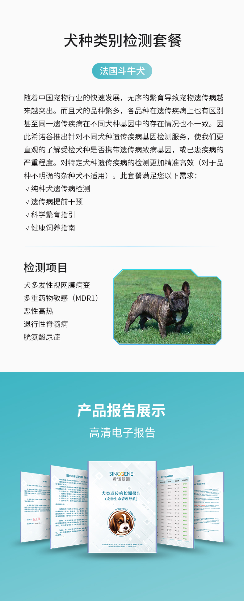 法斗.jpg