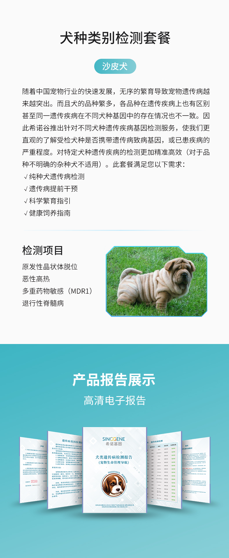 沙皮.jpg
