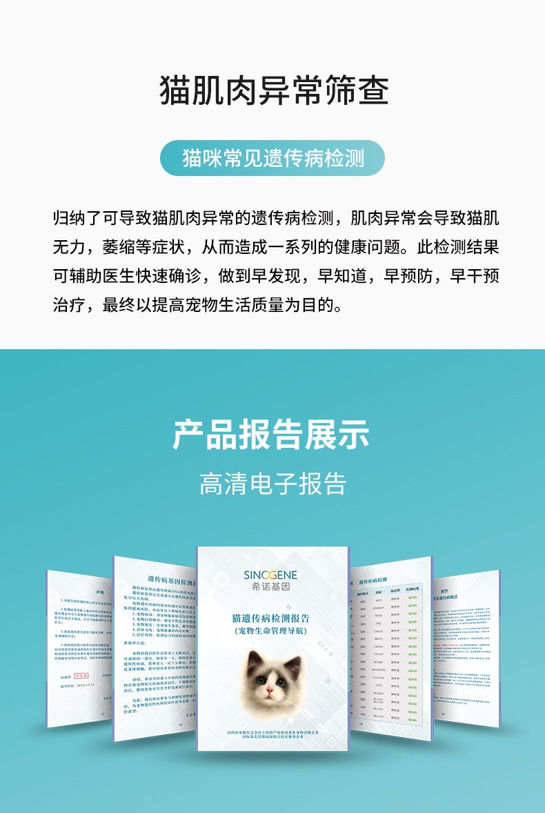 猫肌肉异常.jpg